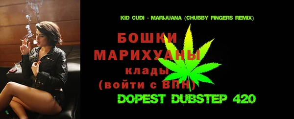 сатива Надым