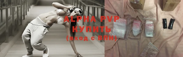 сатива Надым