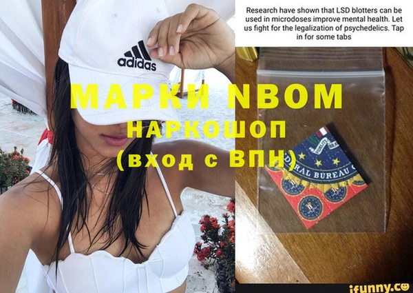 spice Бикин