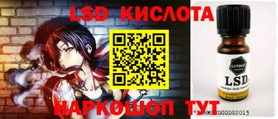 гашик Гагарин
