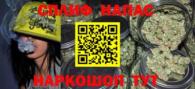 гидра Берёзовский