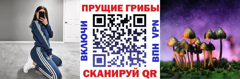 Галлюциногенные грибы прущие грибы  shop как зайти  Десногорск 