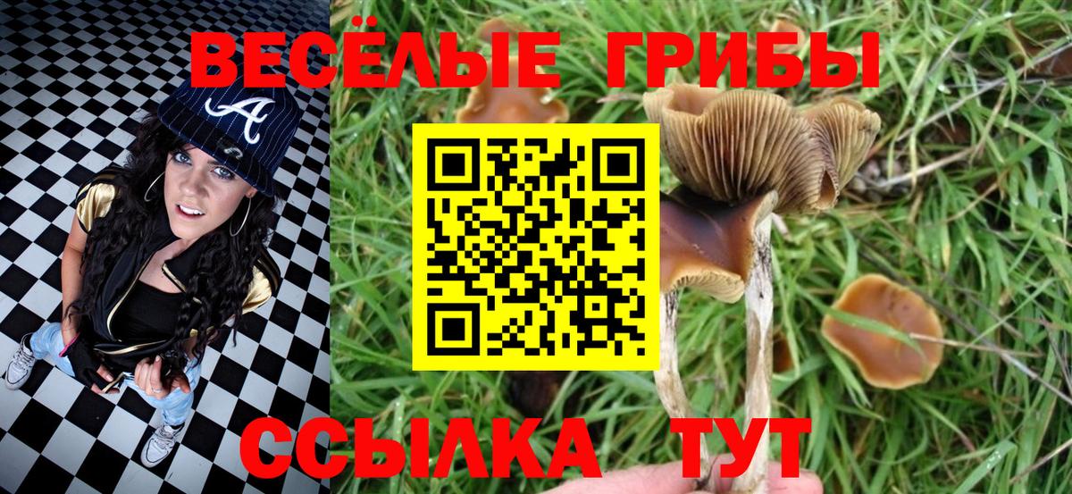 Галлюциногенные грибы MAGIC MUSHROOMS  Галлюциногенные грибы мухоморы  Вход с VPN  Десногорск 