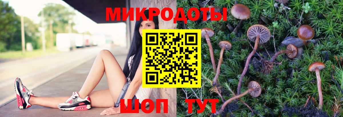 Галлюциногенные грибы Cubensis Десногорск